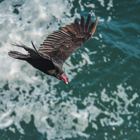 a href='https-__www.freepik.com_photos_ocean-water'_Ocean water photo created by wirestock - www.freepik