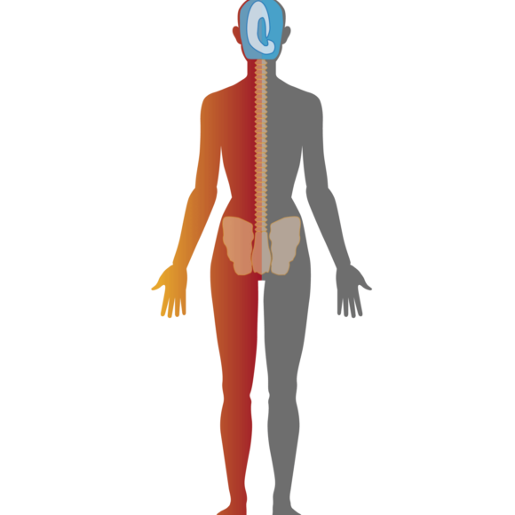 craniosacral-koerperbehandlung-ist-hilfreich-bei-michaela-reichart